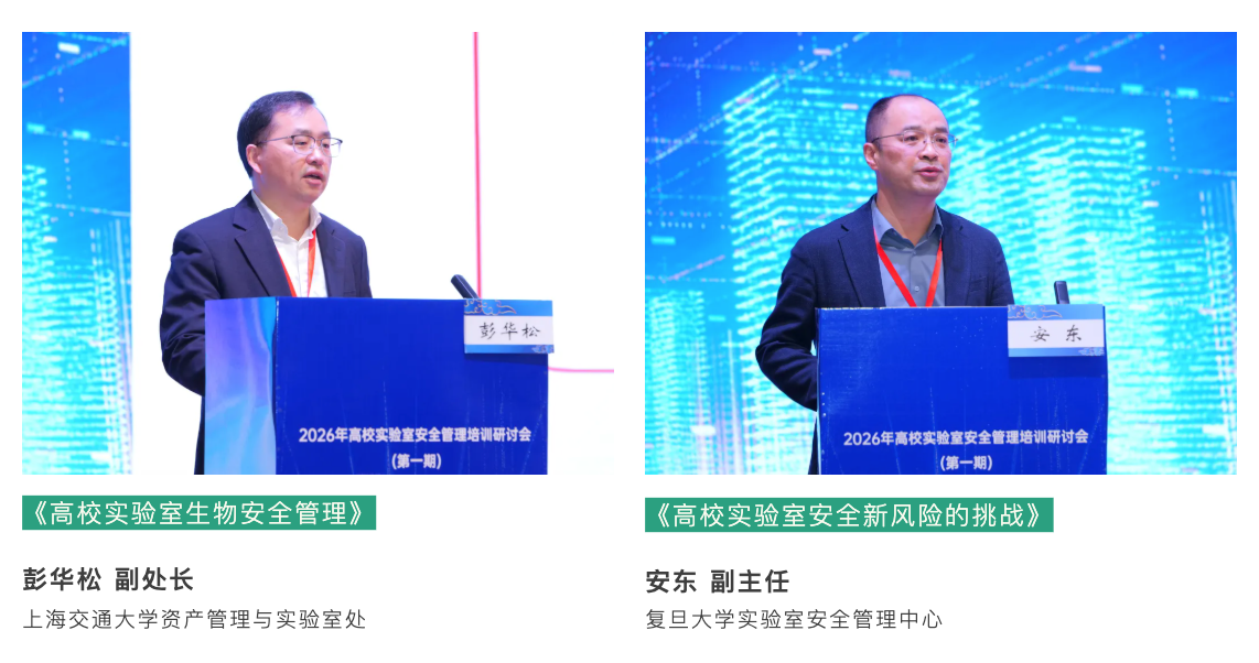 1768294514773263.png a4c77e09-5fab-446f-9f61-ed41ef563f02.png